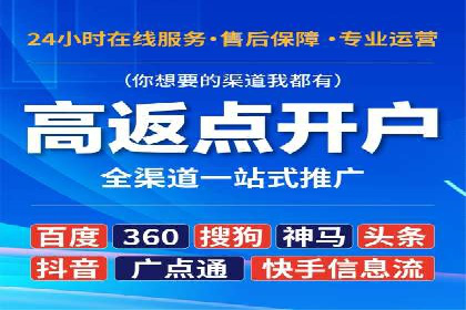 百度推广竞价全解析：某电商平台的营销策略